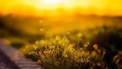 无畏契约》电竞公益新实践:玩家参与共建14片运动篮球场,推动社区运动设施建设